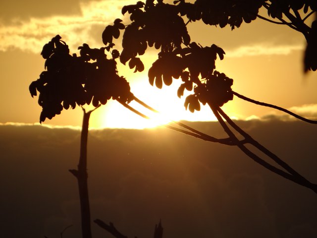 DSC08272.JPG