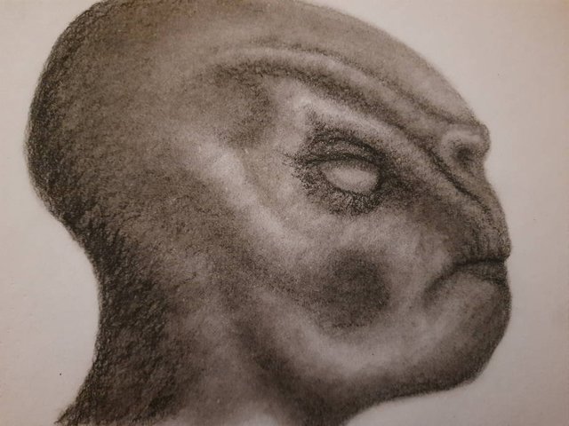 20250517_114008.jpg