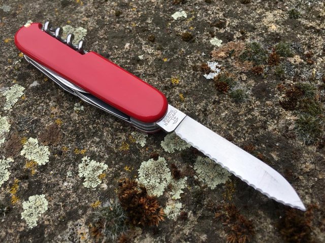 custom victorinox knife.jpg