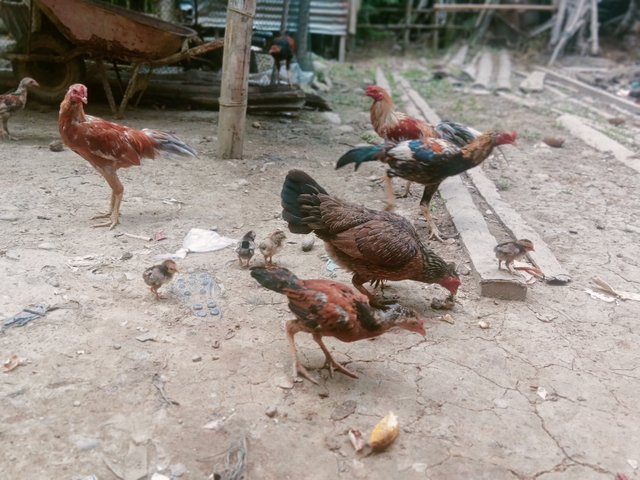 IMG20250603101141.jpg