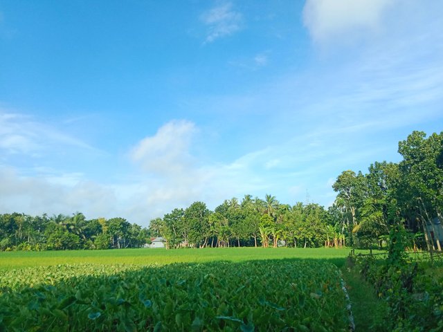 IMG_20250914_210957.jpg
