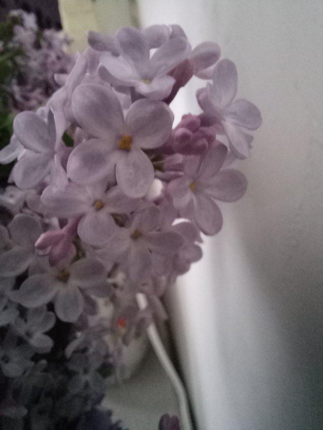20250426_091219.jpg