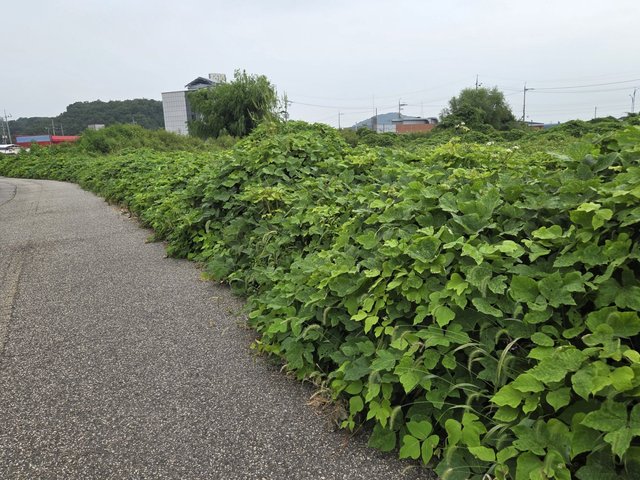 카카오스토리_2025_09_16 21_33_47.jpg