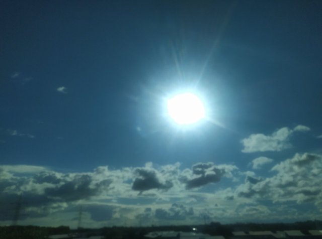IMG_3363.jpeg