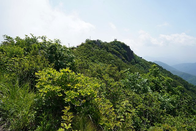 b-DSC07462.JPG