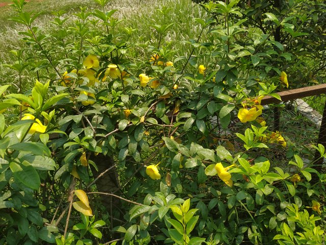 IMG_20230428_122629.jpg