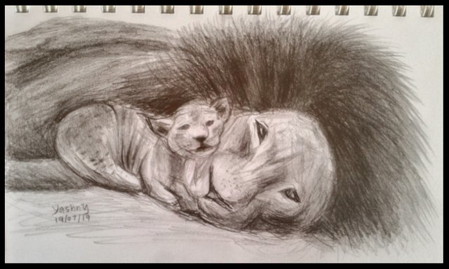 lion king simba and mufasa drawings