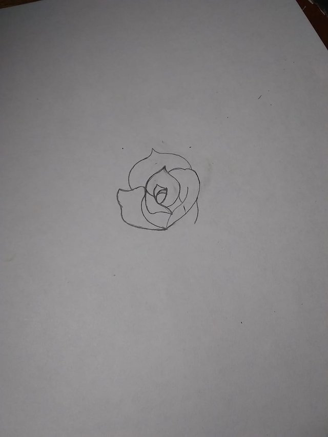 Rose1.jpg