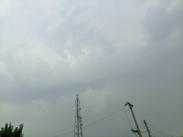 IMG_20250615_120941_403.jpg