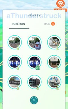 7 Chikorita nearby.jpg