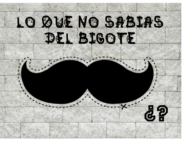 bigote.png