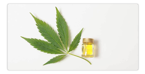 Oral-CBD-–-How-Does-it-Work-.png