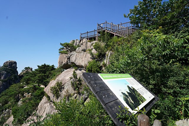 b-DSC08934.JPG