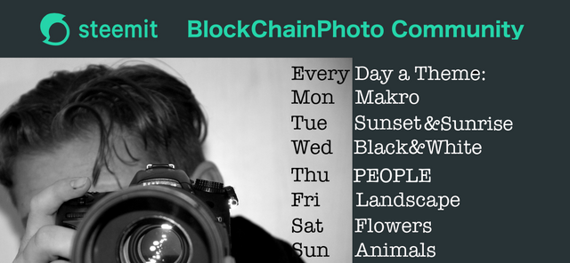 blockchainphoto.png