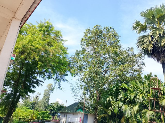 1000049026.jpg