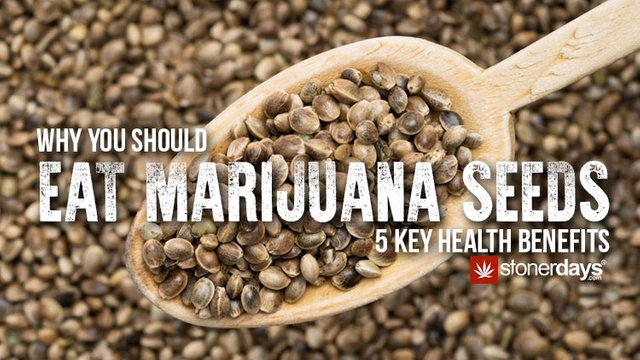 Why-You-Should-Eat-Marijuana-Seeds.jpg