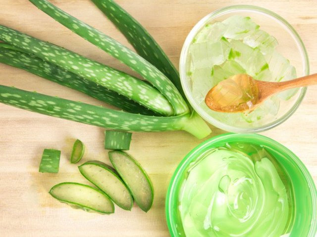 aloeveragel (1).jpg