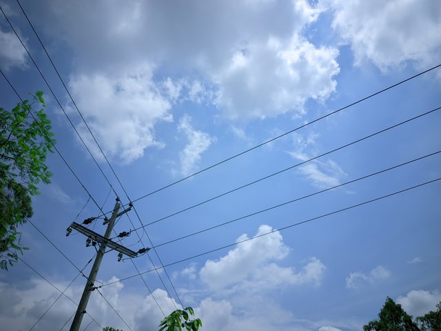 20250617_090646.jpg