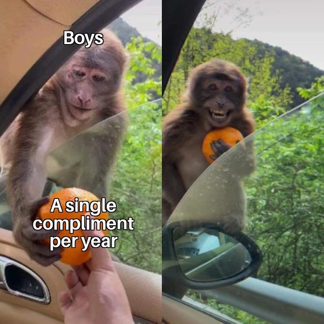 Monkey Receiving An Orange 29082020103115.jpg