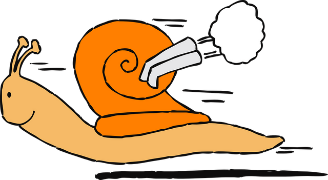 snail-48182_960_720.png