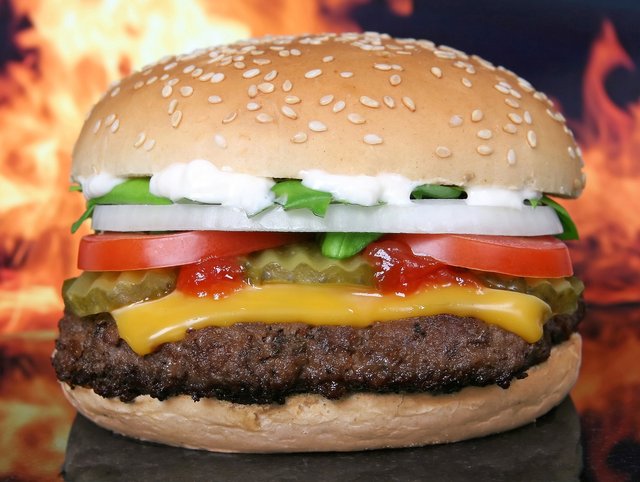 hamburger-1238246_1920.jpg