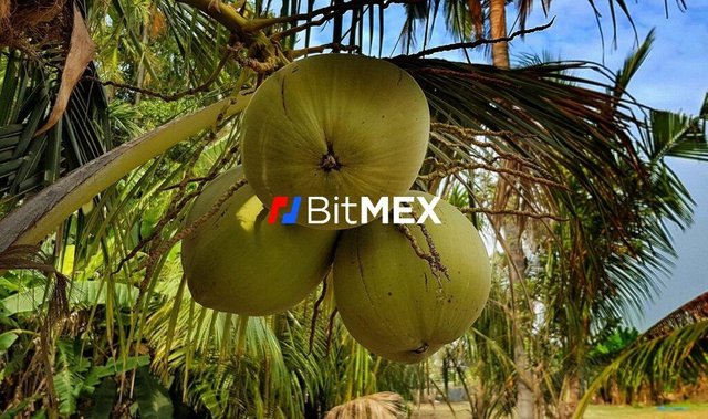 Kokosy-v-obvineni-burzy-BitMEX-Arthura-Hayese-1024x606.jpg