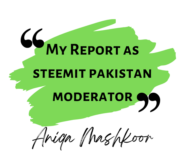 My Report as steemit pak moderator.png