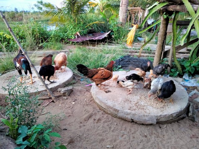 IMG20250520184253.jpg