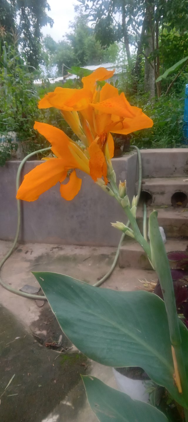 20250815_113252.jpg
