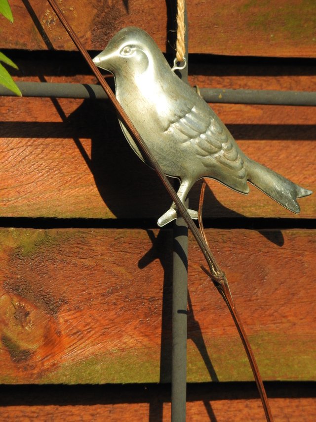 DSCN1201.JPG