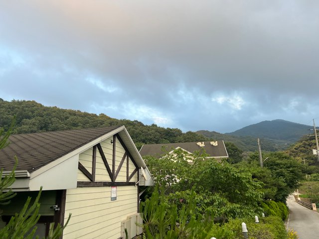 IMG_2987.jpeg
