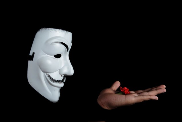 photo-of-guy-fawkes-mask-with-red-flower-on-top-on-hand-38275.jpg