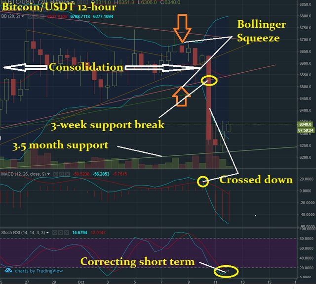 Oct 12 BTC T&A.jpg