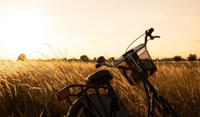 Fahrrad.png