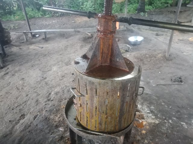 IMG20250727140240.jpg