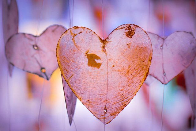 heart-4315984_1280.jpg