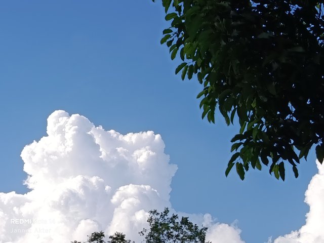1000003819.jpg