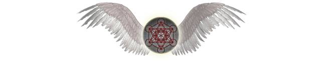 TSOA orb wings banner.png