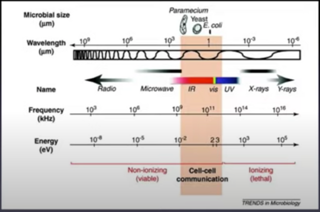 cell2cellcommsgraph.png