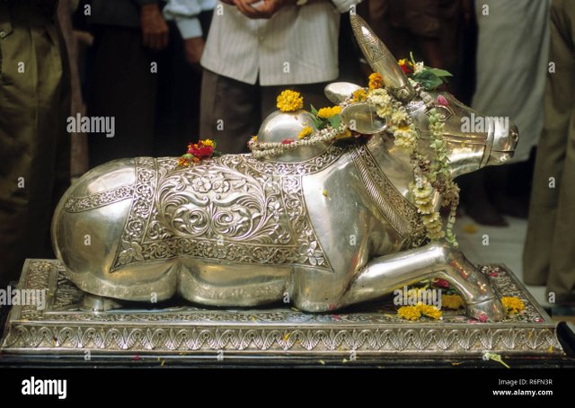 idol-of-nandi-mahakaleshwar-temple-ujjain-madhya-pradesh-india-R6FN3R.jpg