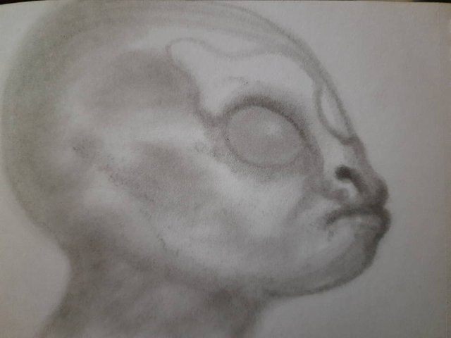 20250515_095657.jpg