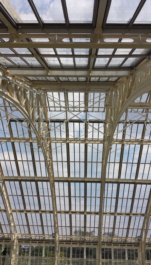 temperate roof glass.jpg