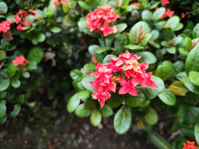 IMG_20250714_173030_1.jpg