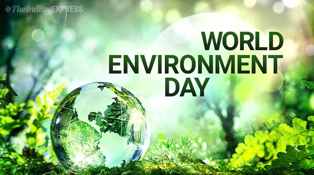 world-environment-day-amp.jpg