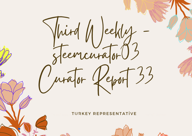 Second Weekly -steemcurator03 Turkey Curator Report.png