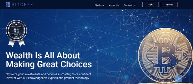 bitorex website.jpg