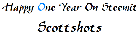 shasta2019jan23rd47happyoneyearonsteemitscottshots804io000.png