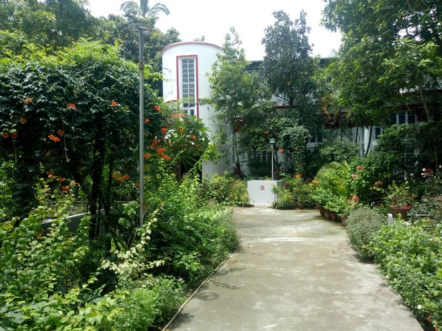 IMG_20240724_104625396.jpg