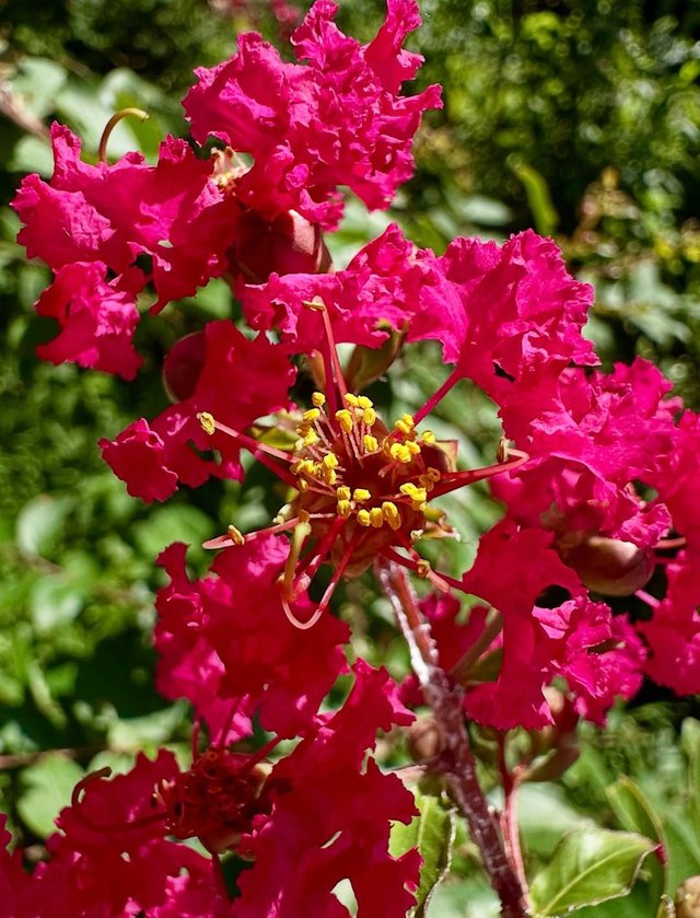 IMG_20250806_234903.jpg