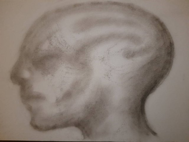 20250730_105105.jpg